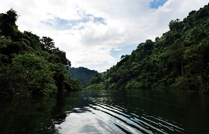 Brasil, Congo e Indonésia juntam-se para preservar florestas tropicais